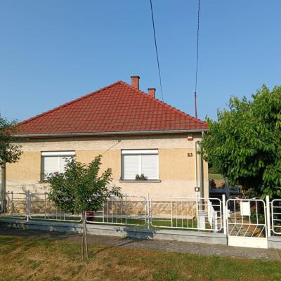 Img 1603
